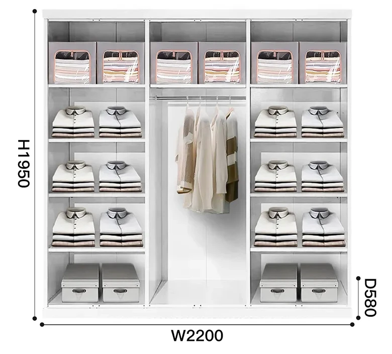 6-Door Long Handle Wardrobe best