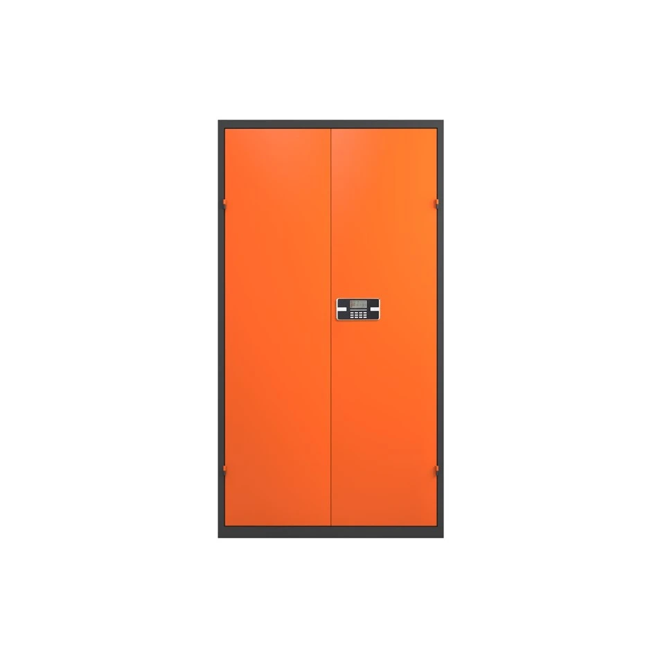 Smart Lock 2-door Tool Cabinet factory